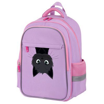 Рюкзак BRAUBERG FAVOUR, 2 отделения, 3 кармана, «Hide and seek», 40×29х15 см