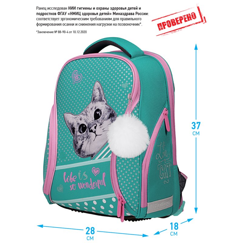 Ранец Berlingo Nova «Curious cat» 37×28×18см, 2 отделения, 2 кармана, анатомическая спинка