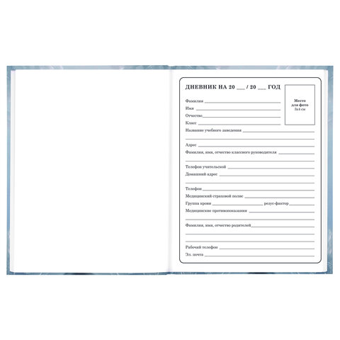 Дневник 1-4 класс 48 л., твердый, BRAUBERG, глянцевая ламинация, с подсказом, «Волк»