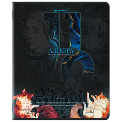 Тетради предметные, КОМПЛЕКТ 12 ПРЕДМЕТОВ, 48 л., TWIN лак, BRAUBERG «ДАТЫ»