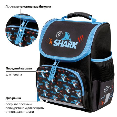 Ранец ПИФАГОР BASIC, 1 отделение, 3 кармана, эргономичная спинка, «Angry shark», 35×28х18 см