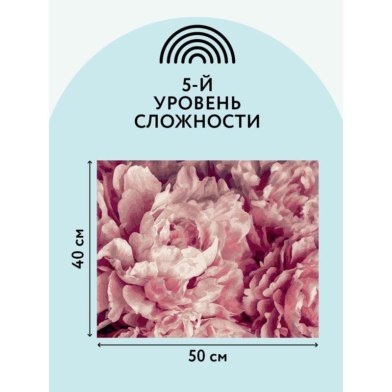 Картина по номерам на холсте ТРИ СОВЫ «Нежные пионы», 40×50, с акриловыми красками и кистями