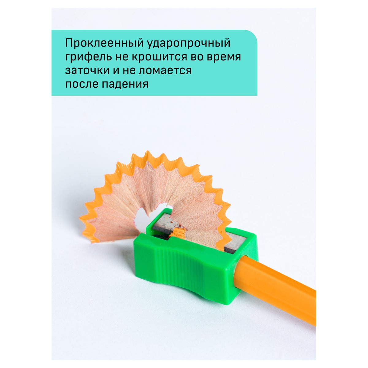 Карандаши цветные Гамма «Хобби. Лесной пейзаж», 12цв., заточен., ПВХ, европодвес