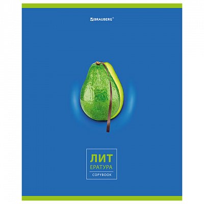 Тетрадь предметная «AVOCADO» 48 л., глянцевый лак, ЛИТЕРАТУРА, линия, подсказ, BRAUBERG