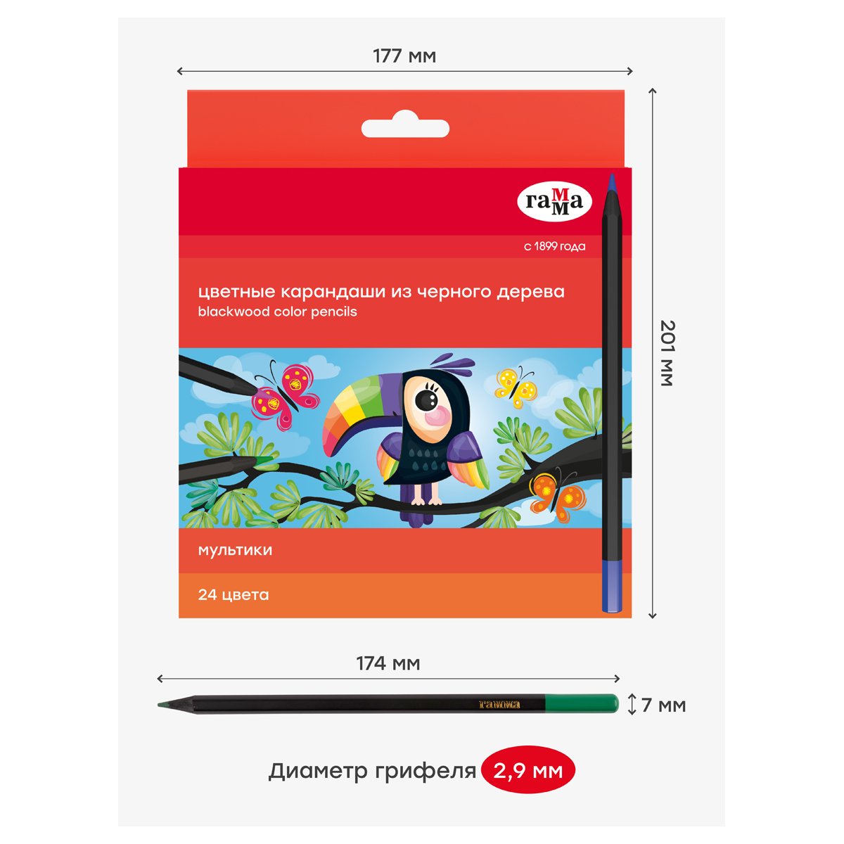Карандаши цветные Гамма «Мультики», 24цв., черное дерево, заточен., картон. упак., европодвес