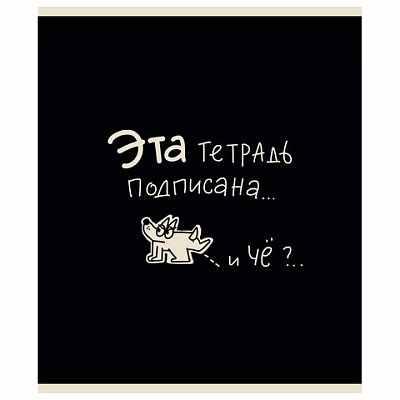Тетрадь А5 48 л. ПЗБМ, скоба, клетка, матовая ламинация, брайль, «Тетрадь подписана» (микс в ПУ)