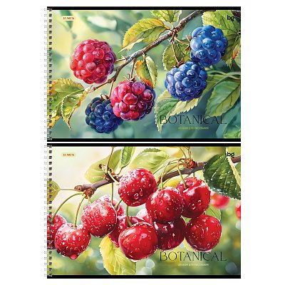 Альбом для рисования 32л., А4, на гребне BG «Botanical»