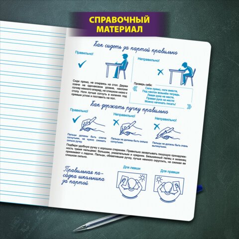 Тетрадь УЧУСЬ ПИСАТЬ № 5 12 л. узкая линия, со справочным материалом, обложка картон, ЮНЛАНДИЯ