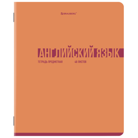 Тетради предметные, КОМПЛЕКТ 12 ПРЕДМЕТОВ, 48 л., обложка картон, BRAUBERG «VIBE»