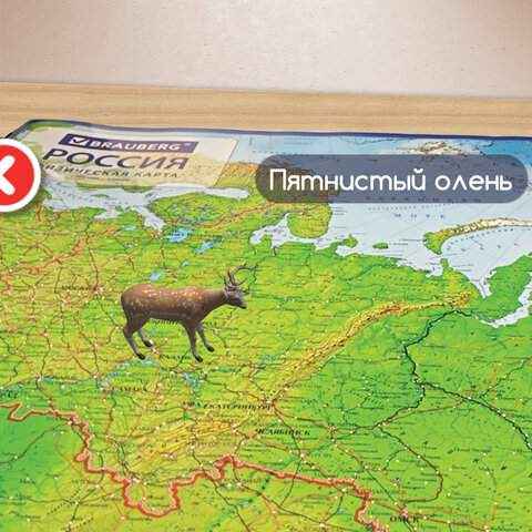 Карта России физическая 101×70 см, 1:8.5М, с ламинацией, интерактивная, европодвес, BRAUBERG
