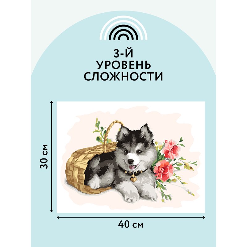 Картина по номерам на холсте ТРИ СОВЫ «Щенок хаски», 30×40, с акриловыми красками и кистями