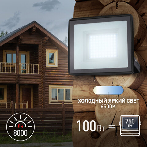 Прожектор светодиодный ЭРА, 100Вт, 6500К, 8000Лм, класс защиты IP65, черный, LPR-023-0-65K-100