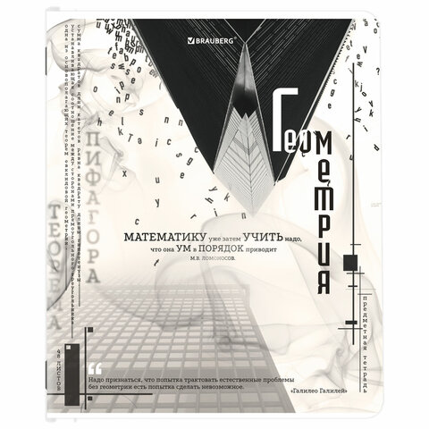 Тетради предметные, КОМПЛЕКТ 12 ПРЕДМЕТОВ, 48 л., матовая ламинация, BRAUBERG, «BLACK&WHITE»