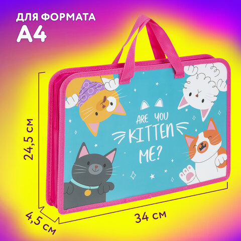 Папка на молнии с ручками ЮНЛАНДИЯ А4, 1 отделение, пластик, ширина 45 мм, «Cat gang»