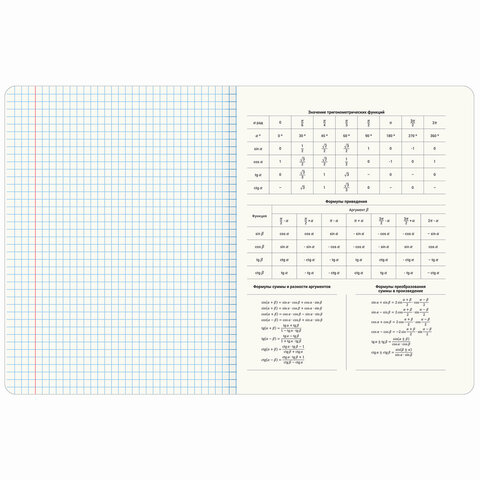 Тетради предметные, КОМПЛЕКТ 12 ПРЕДМЕТОВ, 48 л., TWIN лак, BRAUBERG «ДАТЫ»