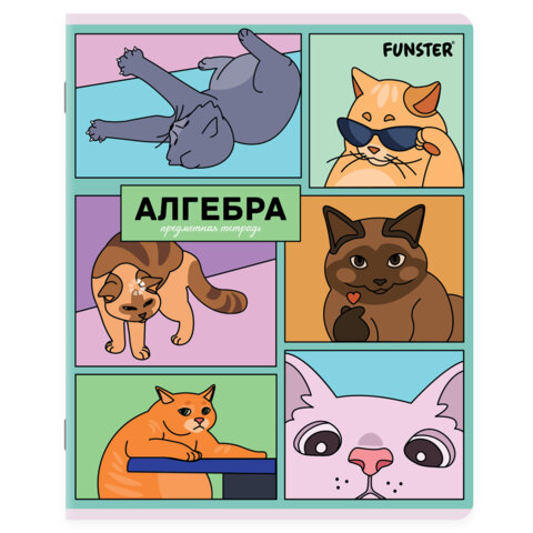 Тетради предметные, КОМПЛЕКТ 12 ПРЕДМЕТОВ, 48 л., TWIN-лак, FUNSTER (ФАНСТЕР), МЕМНЫЕ КОТЫ
