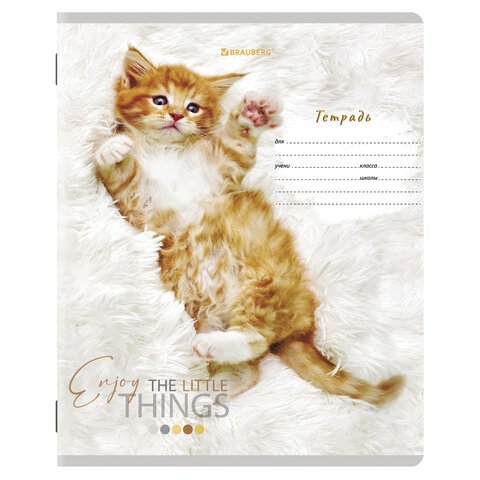 Тетради 12 л. КОМПЛЕКТ 10 шт. BRAUBERG, клетка, обложка картон, ПИТОМЦЫ