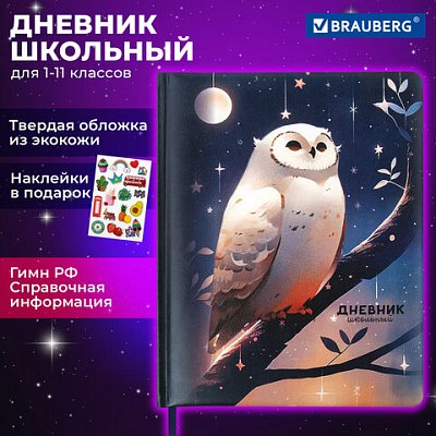 Дневник 1-11 класс 48 л., кожзам (твердая с поролоном), печать, наклейки, BRAUBERG, «Сова»