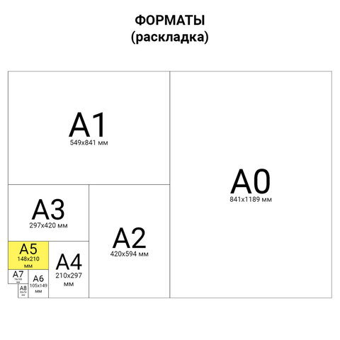Тетради 12 л. КОМПЛЕКТ 20 шт. BRAUBERG КЛАССИКА NEW, клетка, обложка картон, СИНЯЯ