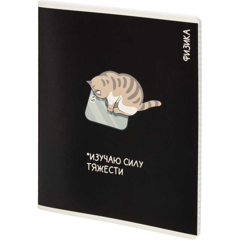 Тетрадь предметная КОТЫ МЕМЫ, набор12 шт.48л, А5+, клетка/линия/71449