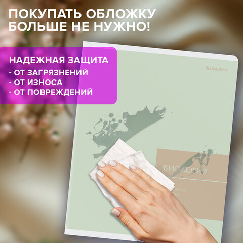 Тетради предметные, КОМПЛЕКТ 12 ПРЕДМЕТОВ 48 л., пластиковая обложка, BRAUBERG «MonoPastel»