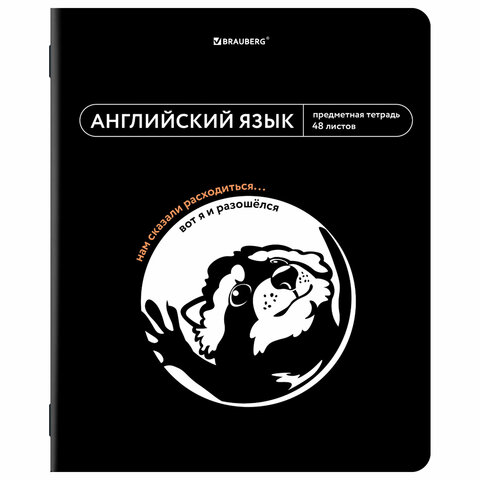 Тетради предметные, КОМПЛЕКТ 12 ПРЕДМЕТОВ, 48 л., TWIN лак, BRAUBERG «МЕМЫ»