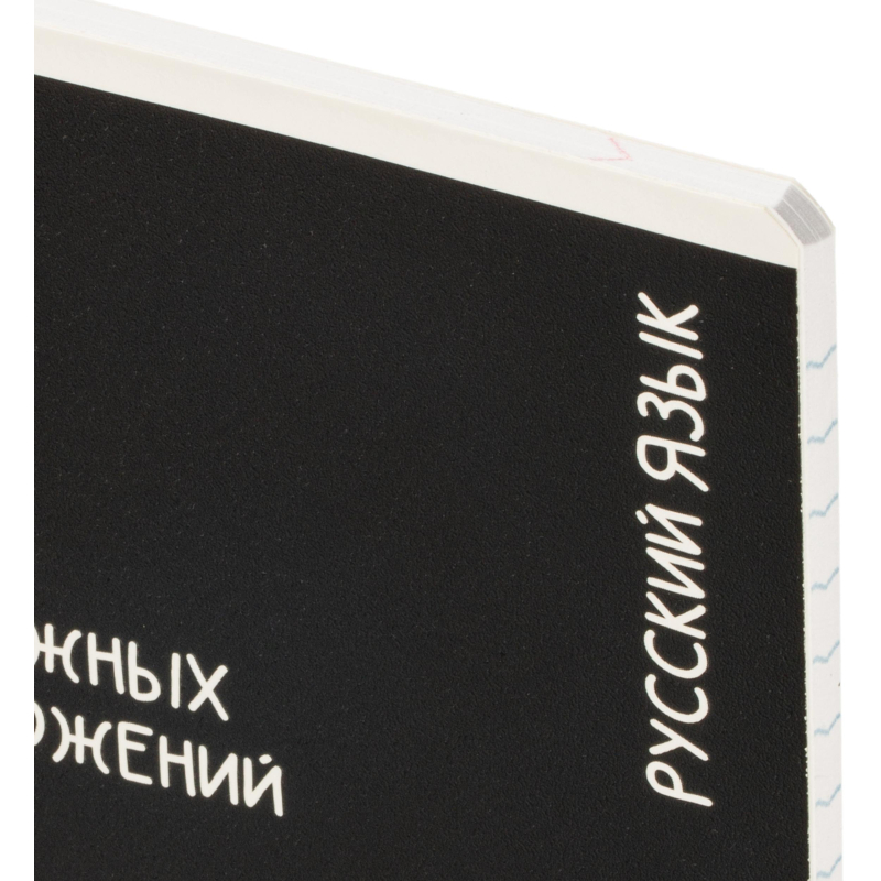 Тетрадь предметная КОТЫ МЕМЫ, набор12 шт.48л, А5+, клетка/линия/71449