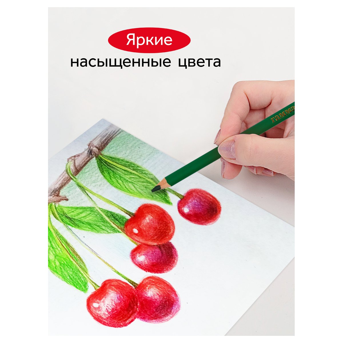 Карандаши цветные Гамма «Мультики», 12цв., утолщ., заточен., картон, европодвес