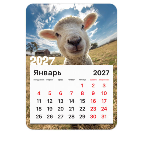 превью Календарь отрывной на магните на 2027 г., BRAUBERG, 130×180 мм, склейка, «Символ года»