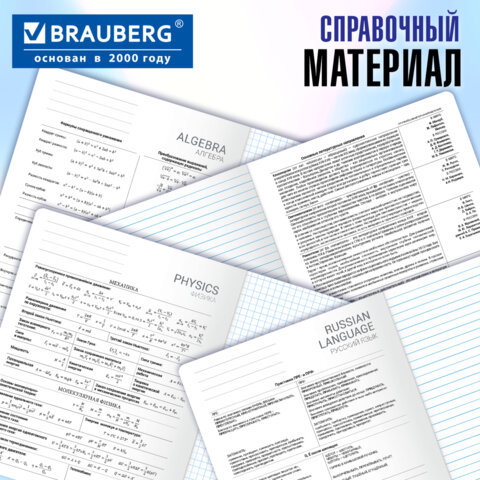 Тетради предметные, КОМПЛЕКТ 12 ПРЕДМЕТОВ, 48 л., Soft-Touch, 3D-фольга, BRAUBERG, «BLACK GOLD»