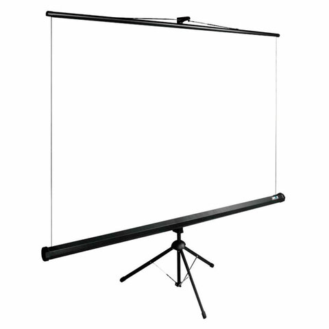 Экран Cactus TriExpert CS-PSTE-160×160-BK, 160×160 см, 1:1, напольный, черный
