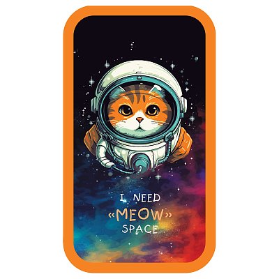 Пенал 2 отделения, 190×110 ArtSpace «Meow Space», ламинированный картон, софт-тач
