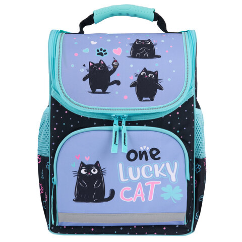 Ранец ПИФАГОР BASIC, 1 отделение, 3 кармана, эргономичная спинка, «Funny cats», 35×28х18 см