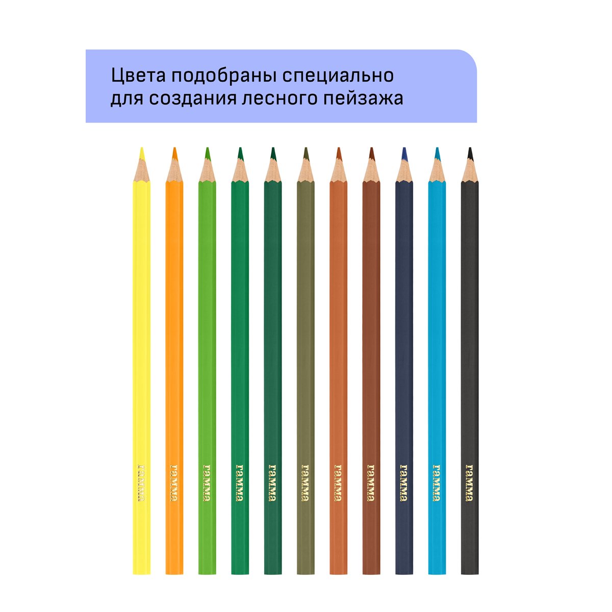 Карандаши цветные Гамма «Хобби. Лесной пейзаж», 12цв., заточен., ПВХ, европодвес
