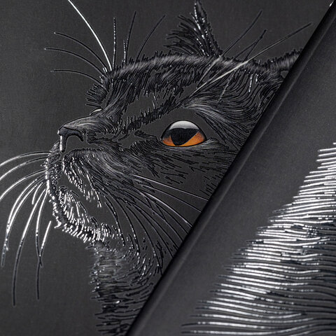 Тетрадь А5, 48 л., HATBER, скоба, клетка, матовая ламинация, 3D-лак, «Black Cat» (микс в спайке), 093159