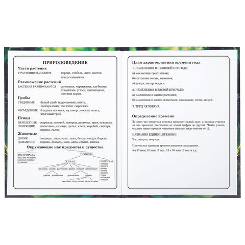 Дневник 1-4 класс 48 л., твердый, BRAUBERG, блестки, с подсказом, «Фея»