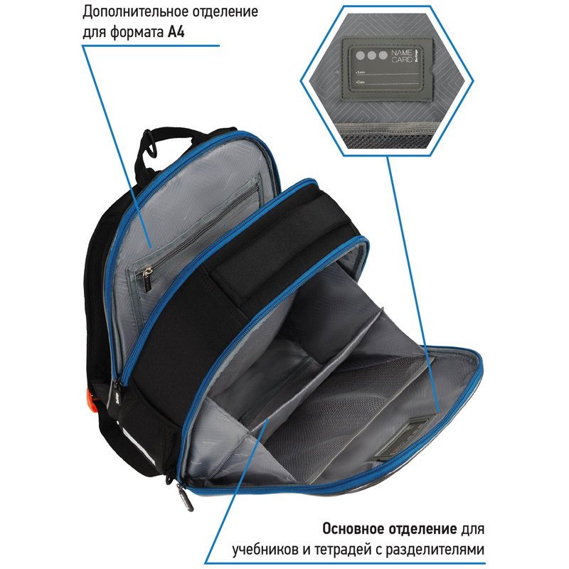 Ранец Berlingo Expert Mini «Beat» 36×27×14см, 2 отделения, 2 кармана, анатомическая спинка, мешок для обуви