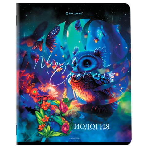 Тетради предметные, КОМПЛЕКТ 12 ПРЕДМЕТОВ, 48 л., глянцевый УФ-лак, BRAUBERG, «DREAM WORLD»