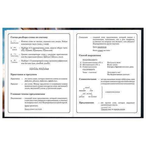 Дневник 1-4 класс 48 л., твердый, BRAUBERG, глянцевая ламинация, с подсказом, «Котик»