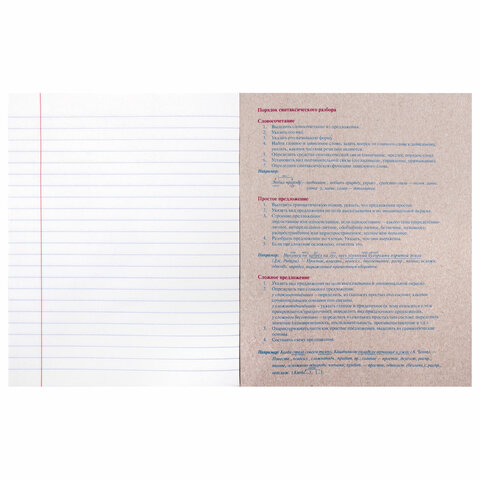 Тетрадь предметная «УЧЕНЬЕ СВЕТ» 48 л., обложка картон, РУССКИЙ ЯЗЫК, линия, подсказ, BRAUBERG ЭКО, 403533