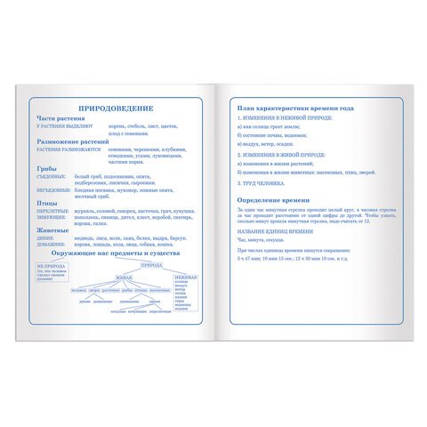 Дневник 1-4 класс 48 л., твердый, BRAUBERG, блестки, с подсказом, «Котята», 105538