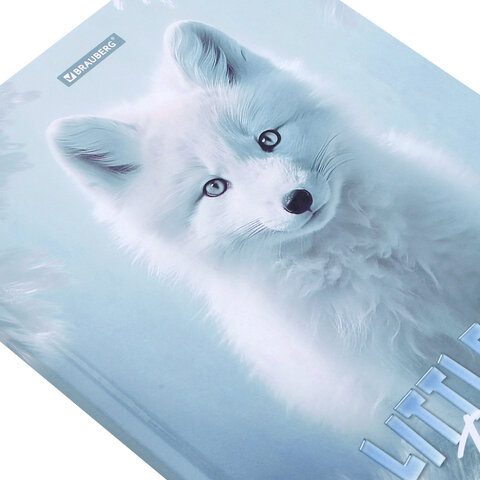 Дневник 1-4 класс 48 л., твердый, BRAUBERG, глянцевая ламинация, с подсказом, «Волк»