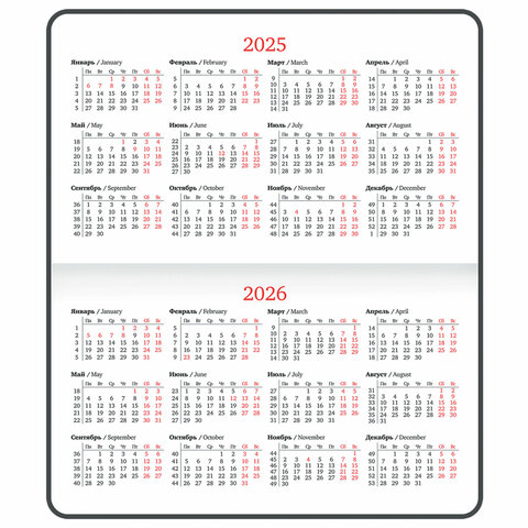 Еженедельник датированный 2025 МАЛЫЙ ФОРМАТ 95×155 мм А6, BRAUBERG «Select», балакрон, черный