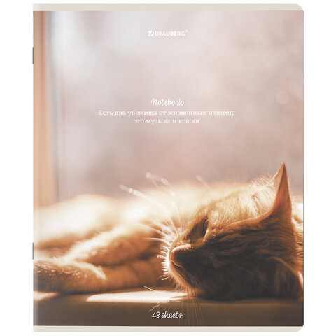 Тетради ДЭК А5 48 л. КОМПЛЕКТ 5 шт. BRAUBERGклеткаматовая ламинация«Cats»404673