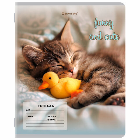 Тетрадь 12 л. BRAUBERG косая линия, обложка картон, CATS AND DOGS