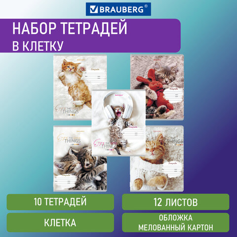 превью Тетради 12 л. КОМПЛЕКТ 10 шт. BRAUBERG, клетка, обложка картон, ПИТОМЦЫ