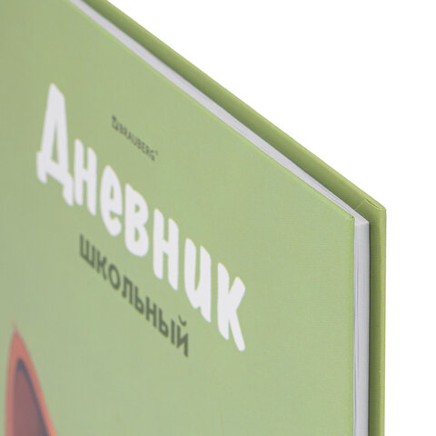 Дневник 5-11 класс 48 л., твердый, BRAUBERG, выборочный лак, с подсказом, «Суровый Кот»