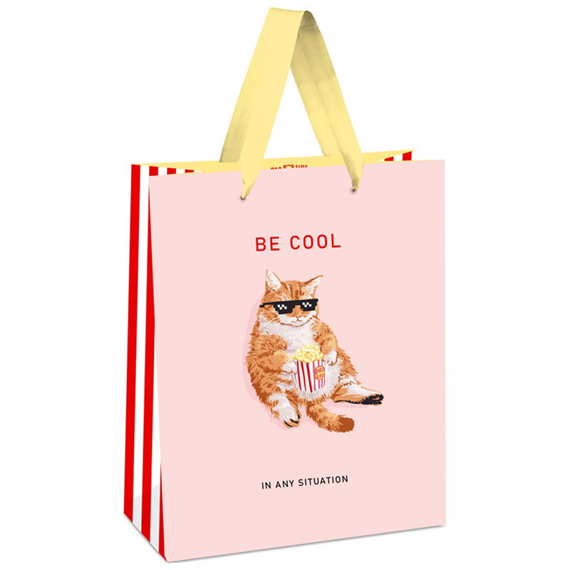 превью Пакет подарочный 11×14×6.5см MESHU «Be cool», выборочный лак, матовая ламинация