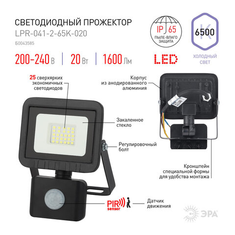 Прожектор светодиодный ЭРА, датчик движения, 20(175) Вт, 6500К, 1600 Лм, IP65, черный, LPR-041-2-65K-020