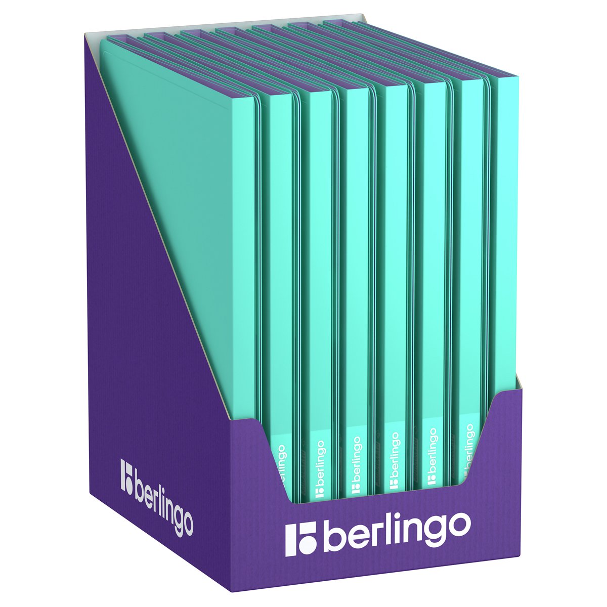 Папка с 20 вкладышами Berlingo «Haze», 14мм, 600мкм, с внутр. карманом, мятная, софт-тач